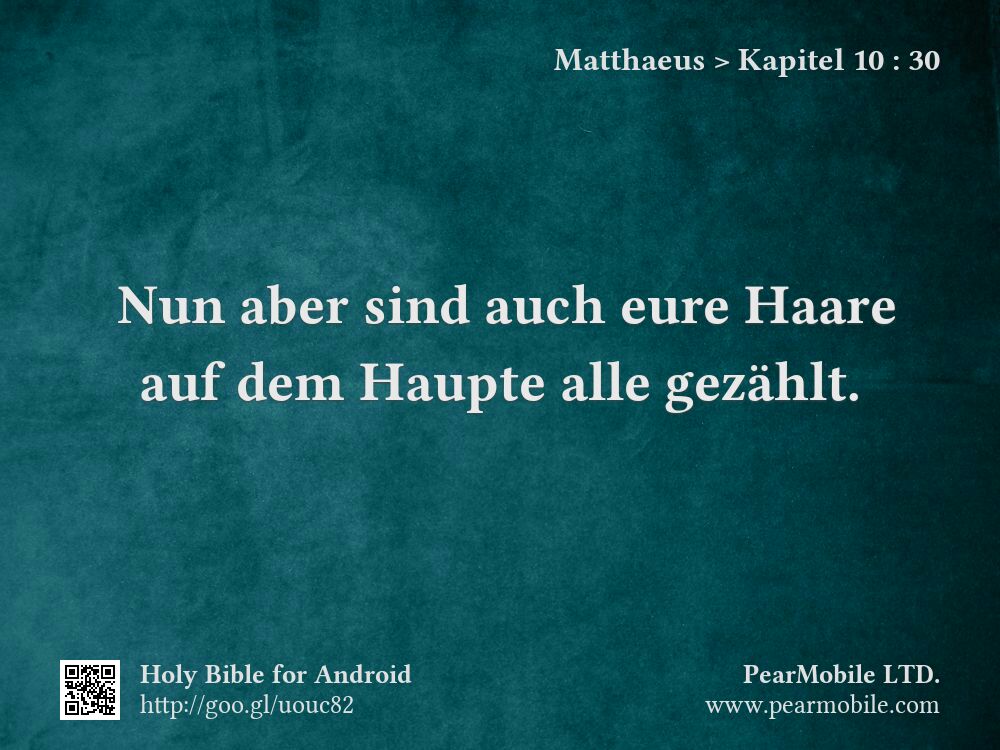 Matthaeus, Kapitel 10:30
